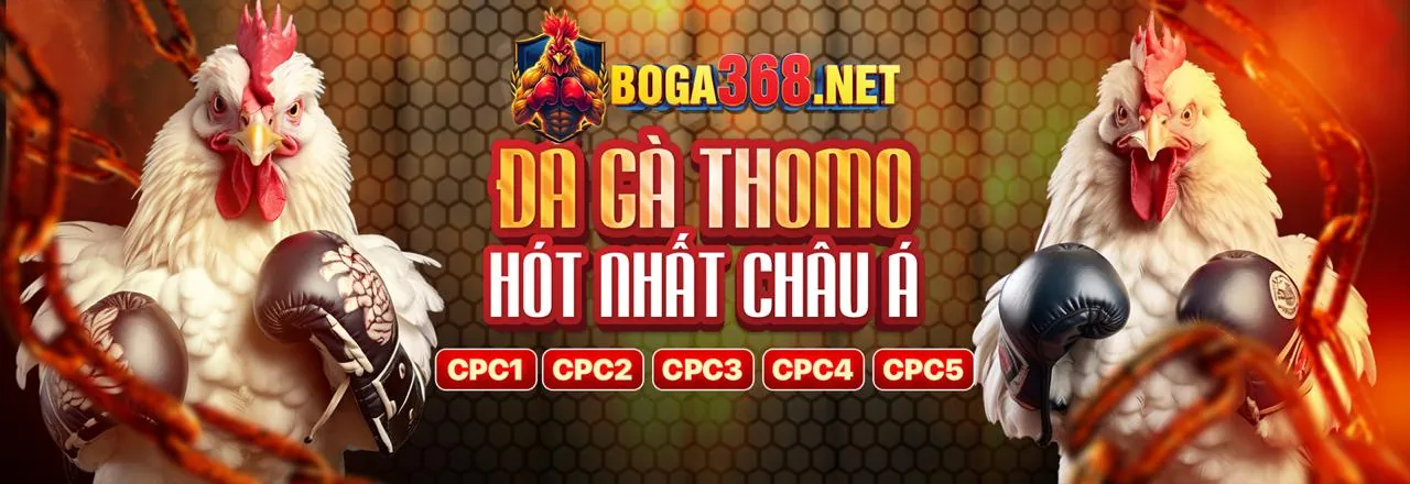 Casino Trực Tiếp tại 88vi